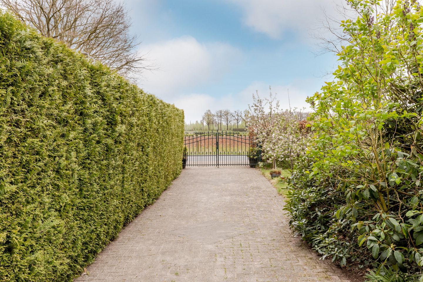 Foto 34 van Watermanseweg 14-A