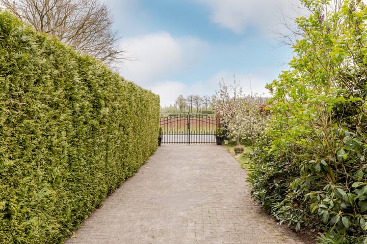 Foto 34 van Watermanseweg 14-A