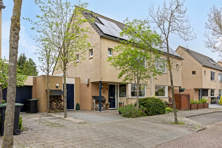 undefined main image