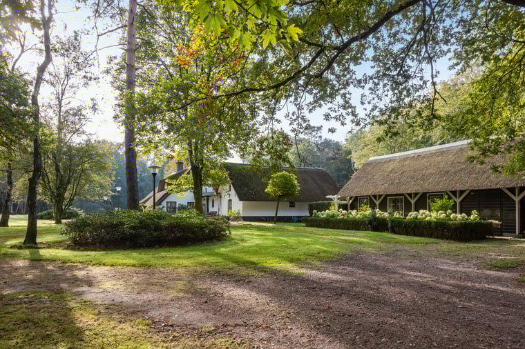 Woeste Hoefweg 66 main image