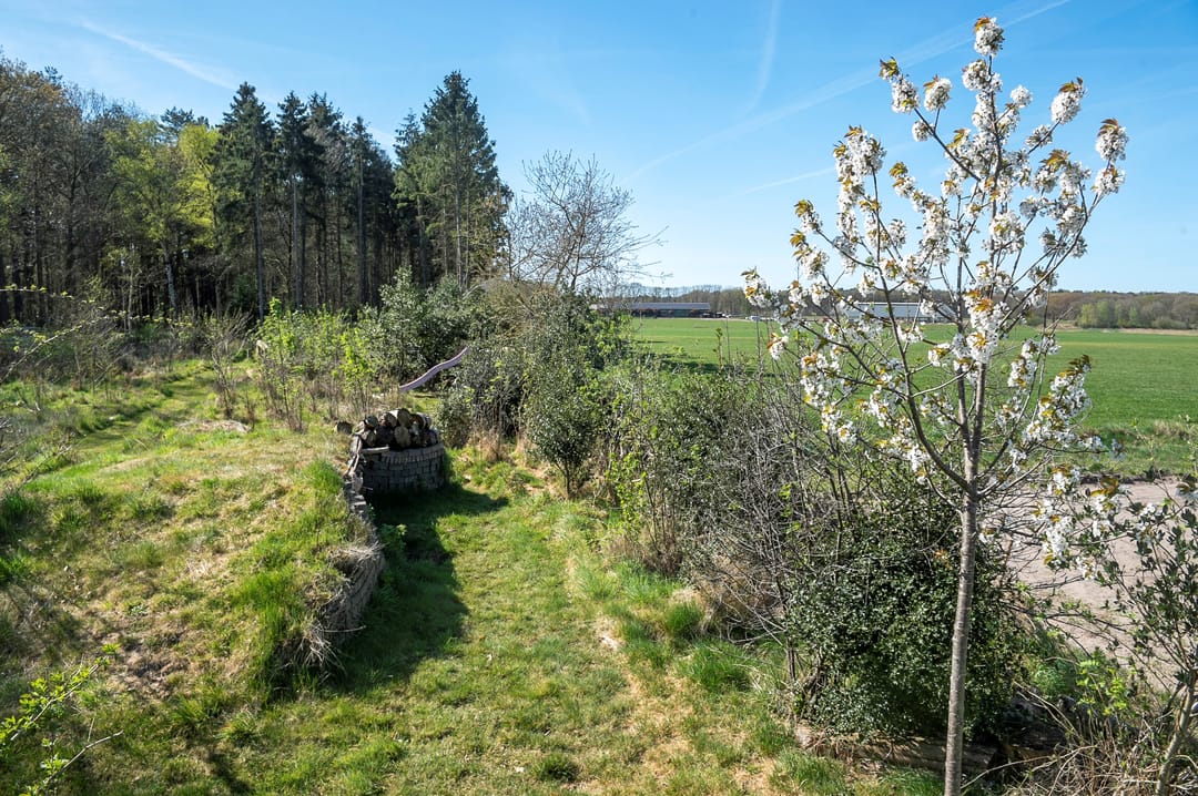 Foto 41 van Balsedreef 27