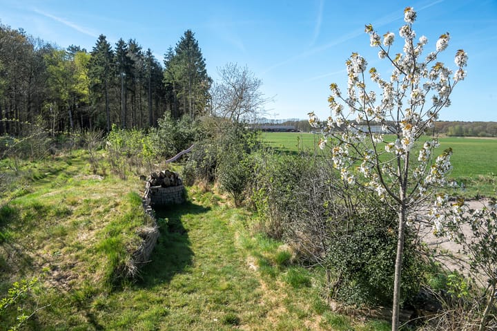 Foto 41 van Balsedreef 27