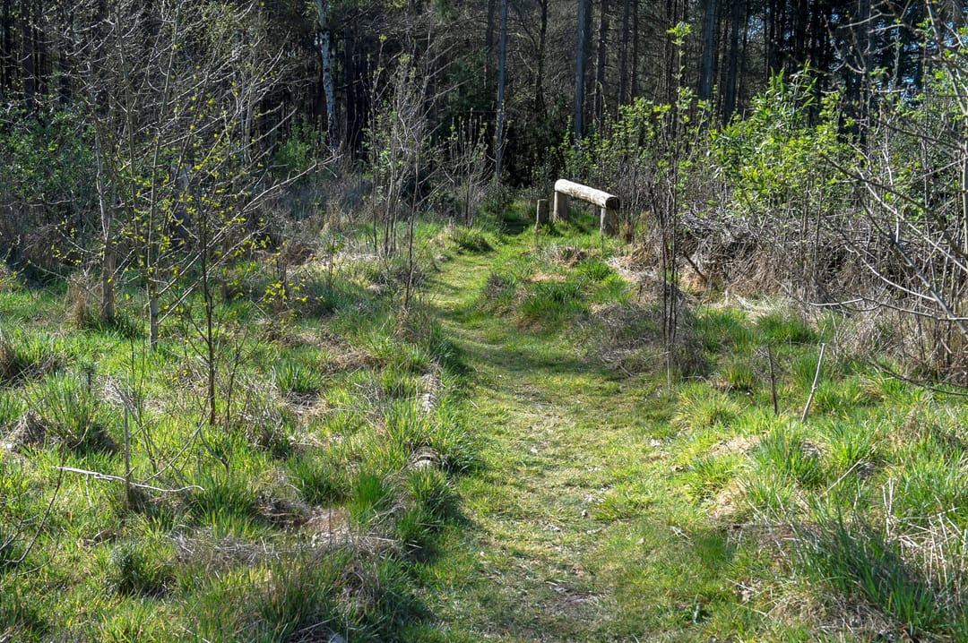 Foto 43 van Balsedreef 27