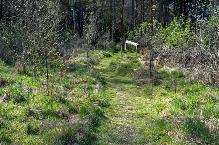 Foto 43 van Balsedreef 27