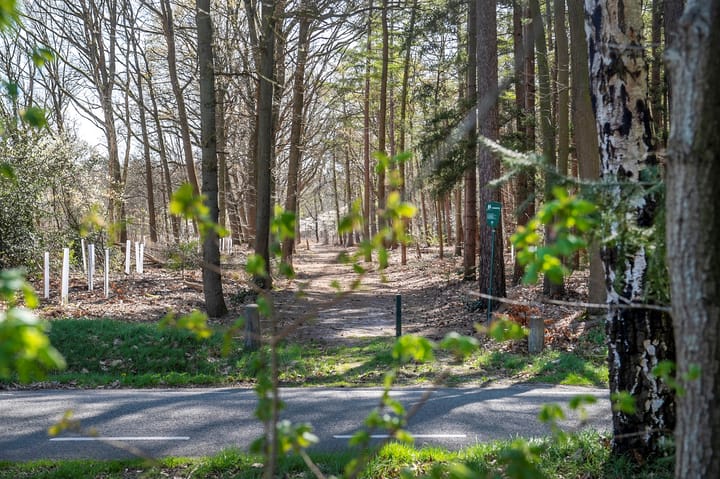 Foto 45 van Balsedreef 27