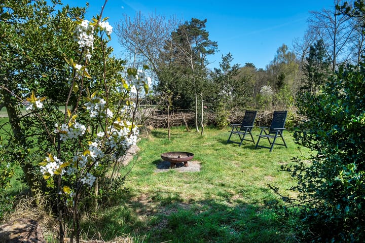 Foto 46 van Balsedreef 27