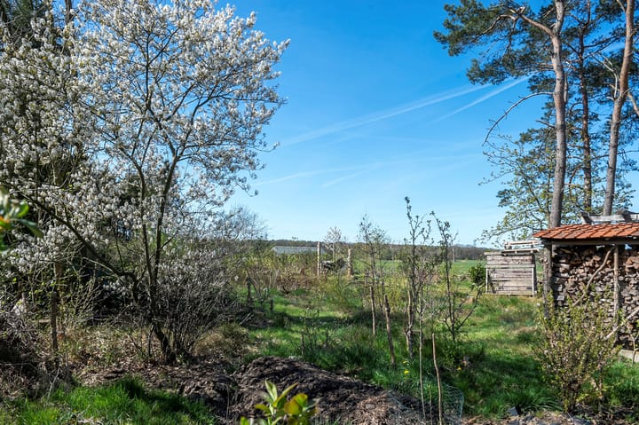 Foto 40 van Balsedreef 27