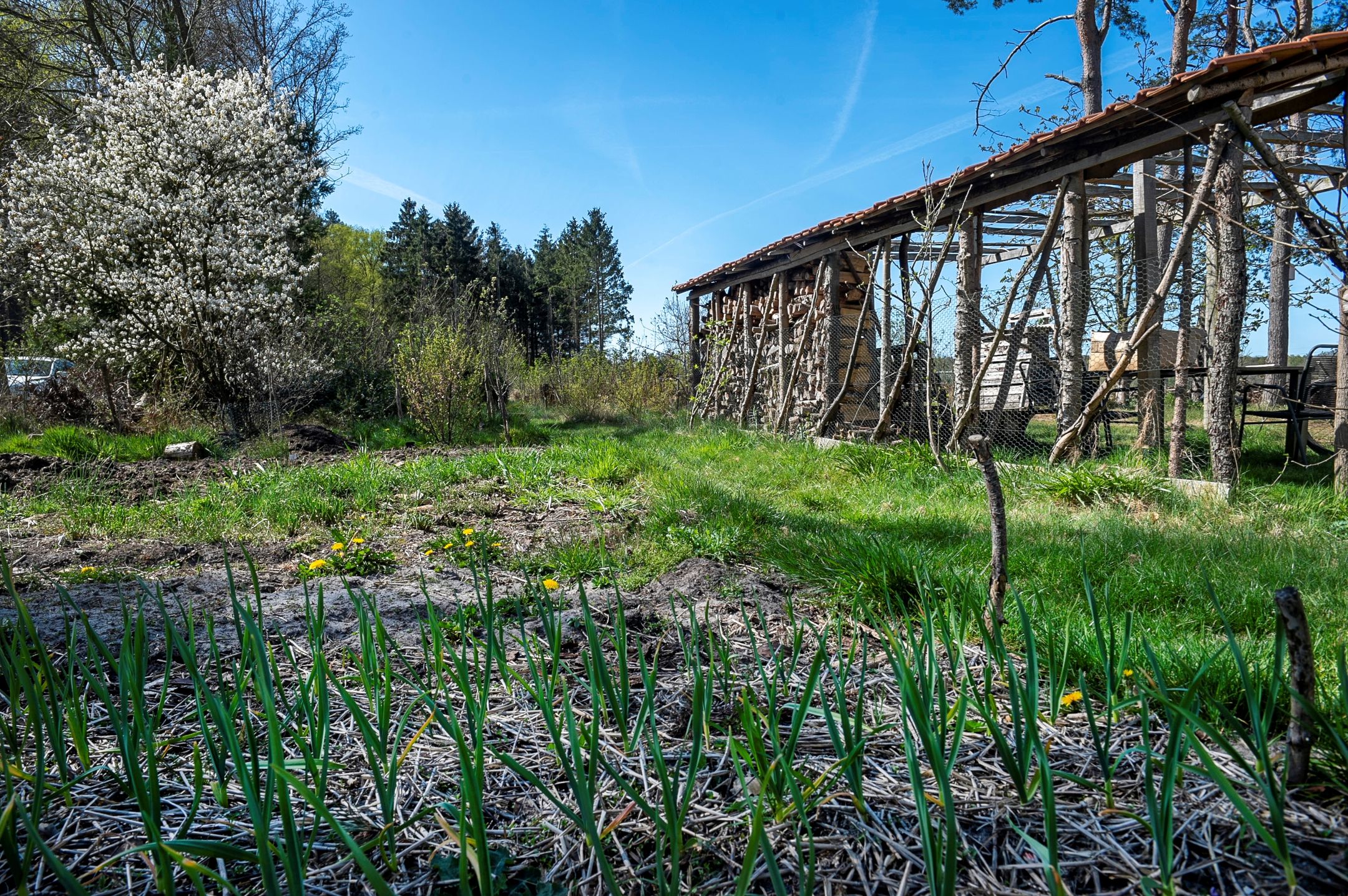 Foto 39 van Balsedreef 27