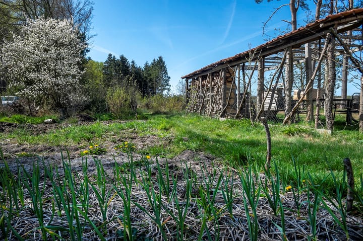 Foto 39 van Balsedreef 27