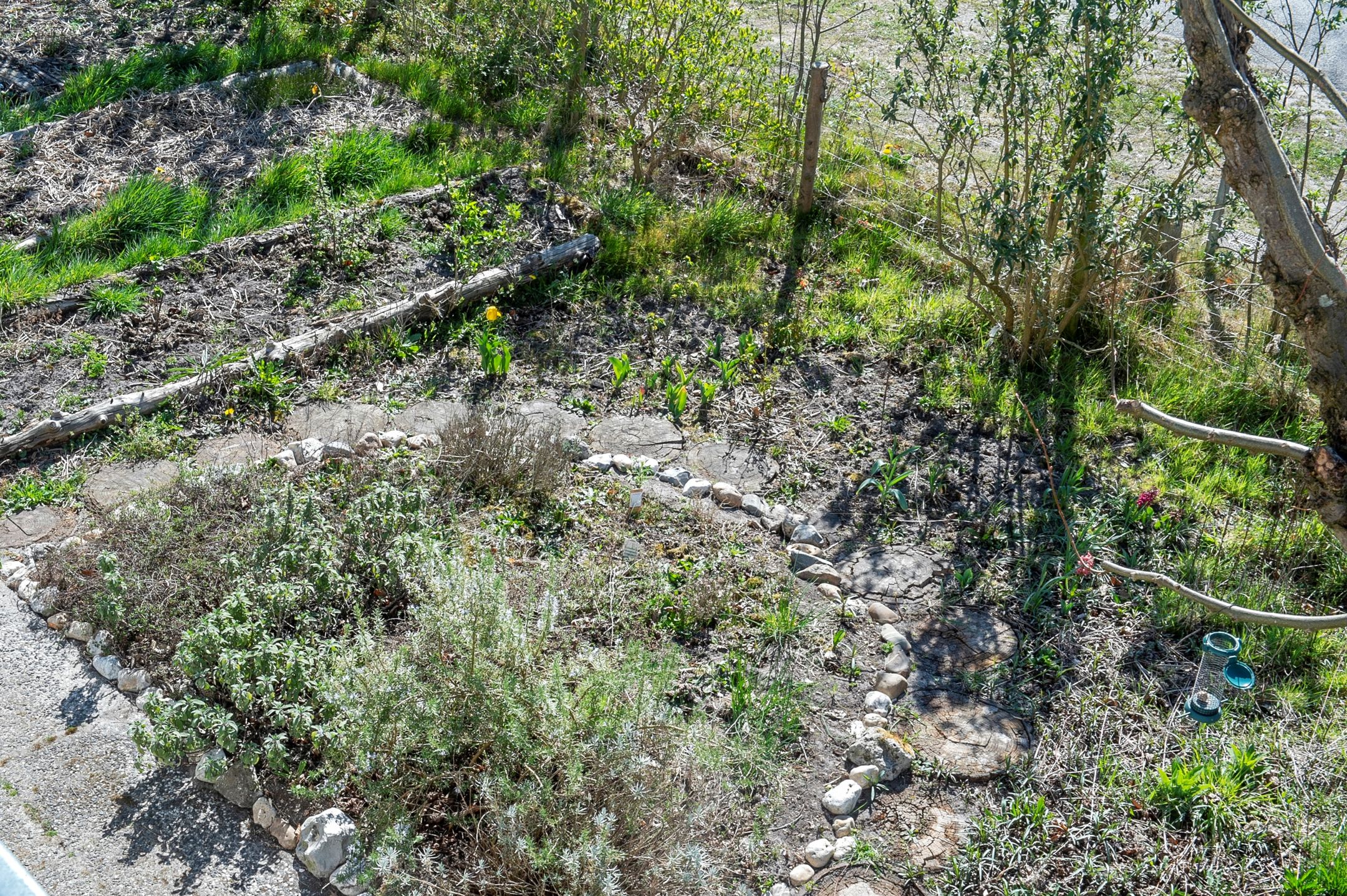 Foto 48 van Balsedreef 27