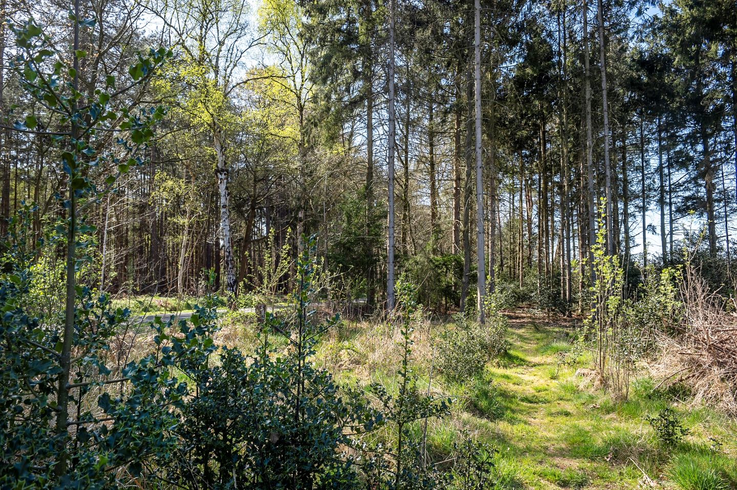 Foto 44 van Balsedreef 27