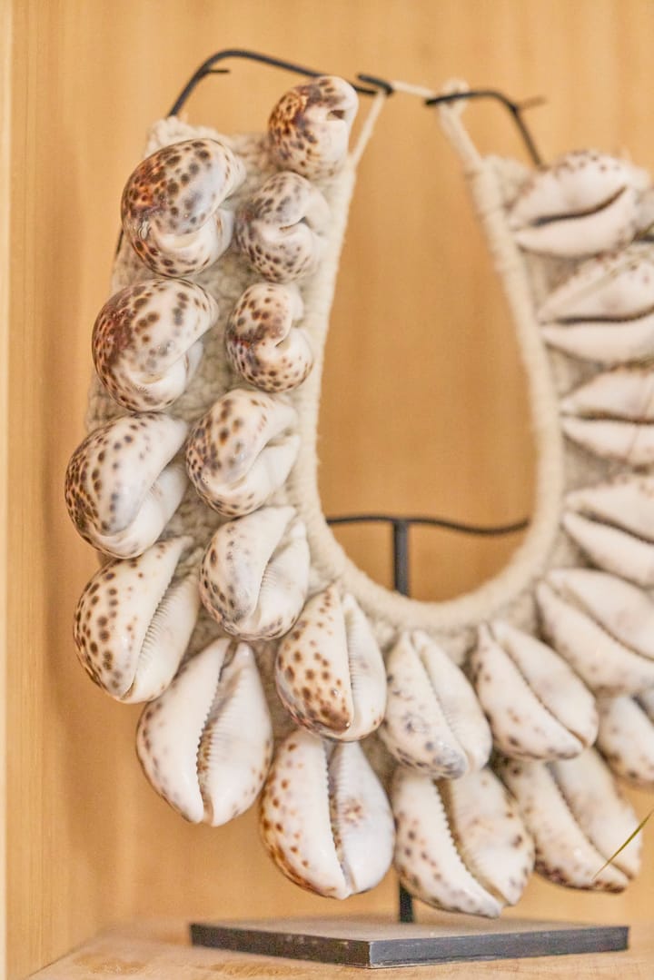 Foto 21 van Jan Ligthartstraat 36