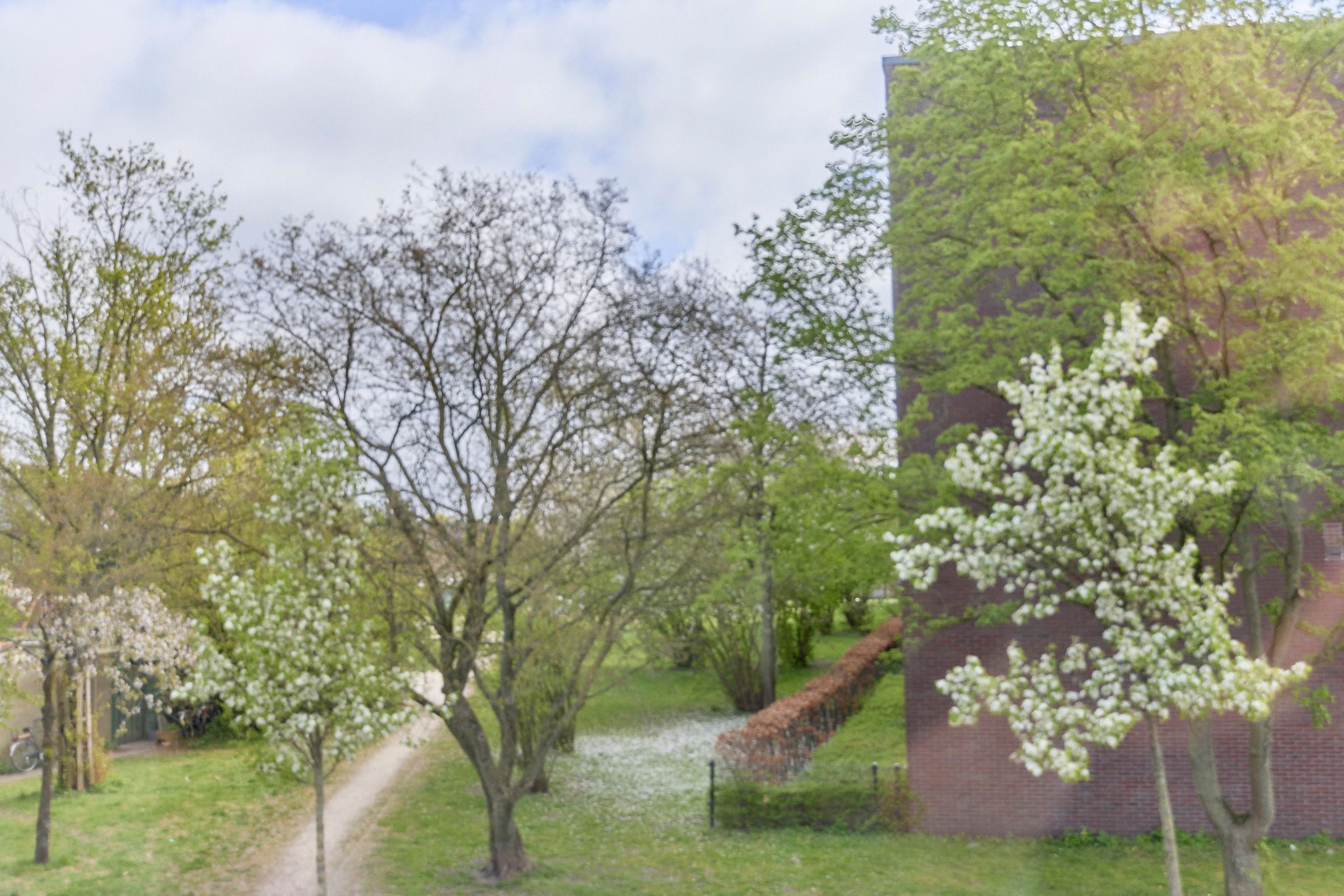 Foto 39 van Jan Ligthartstraat 36