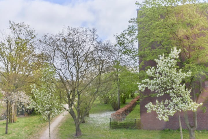 Foto 39 van Jan Ligthartstraat 36