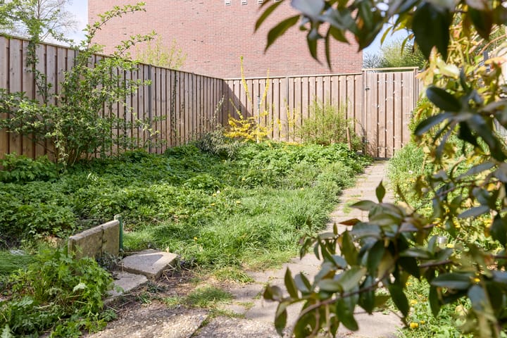 Foto 46 van Jan Ligthartstraat 36