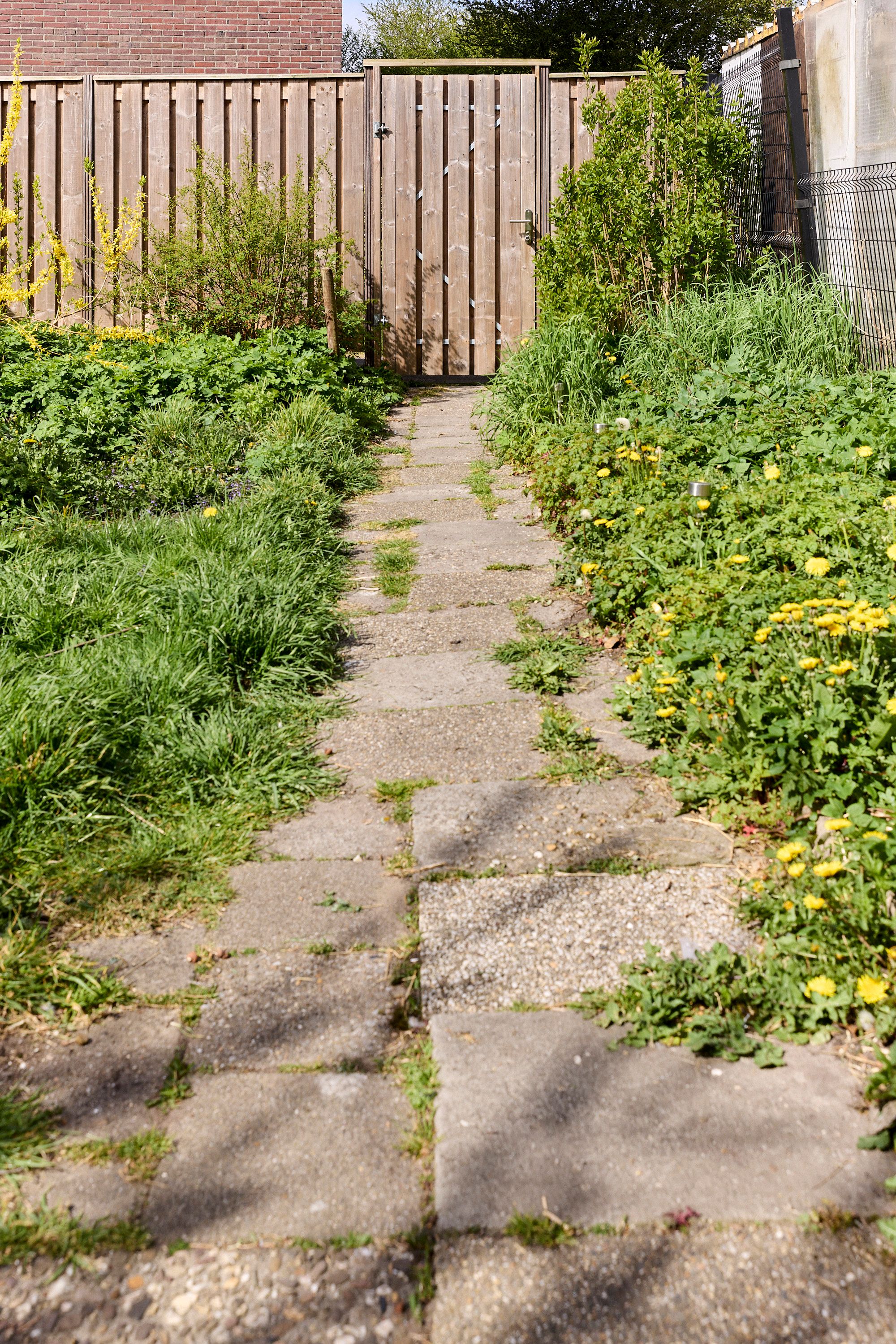 Foto 48 van Jan Ligthartstraat 36