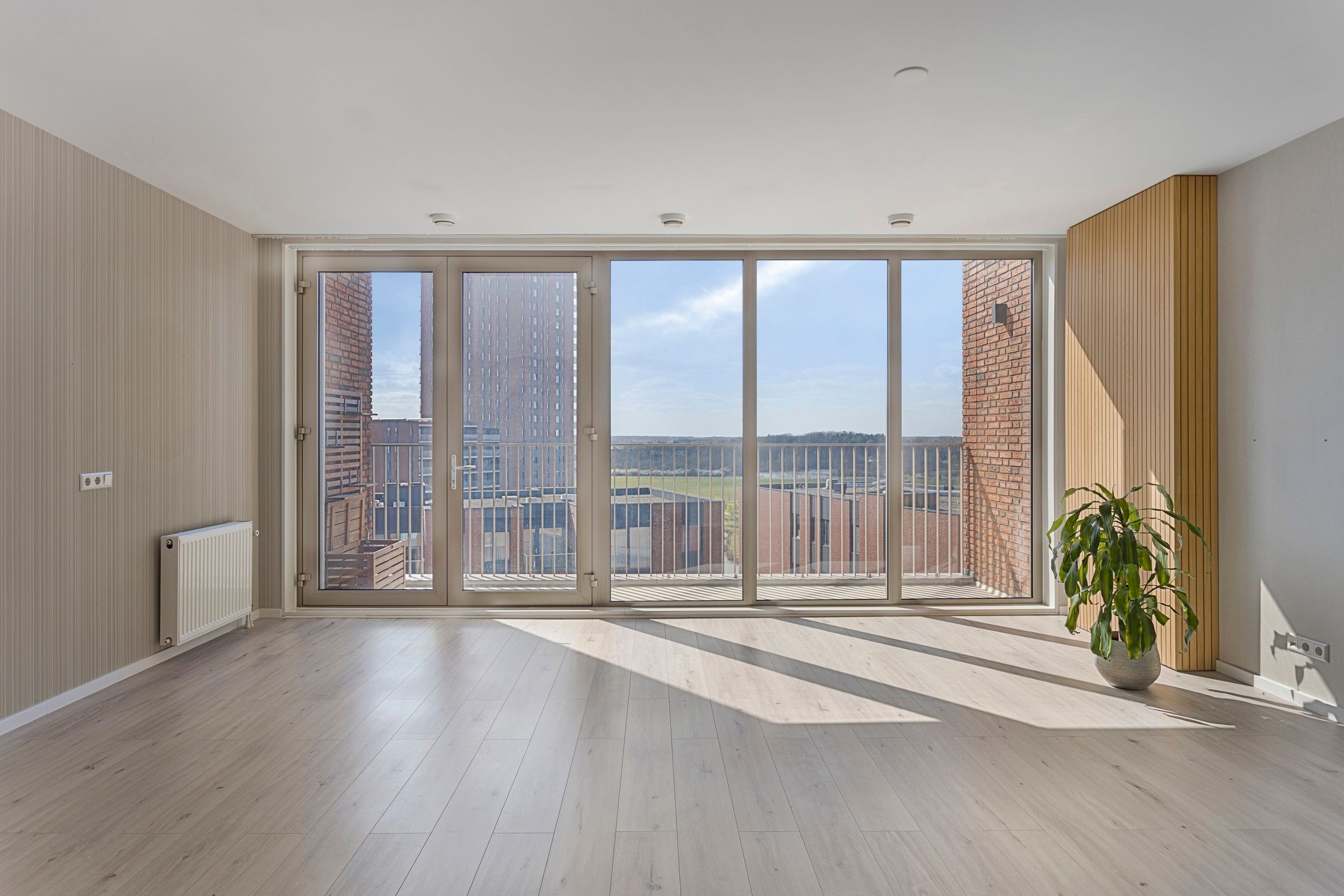 Photo 6 of Meerzand 60