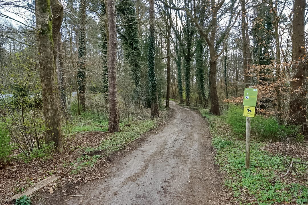 Photo 53 of Weideweg 11