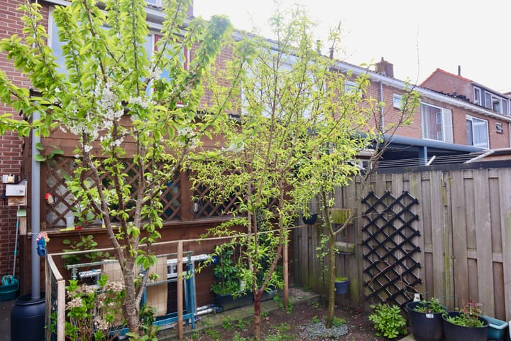 Foto 14 van Pluvierhof 10