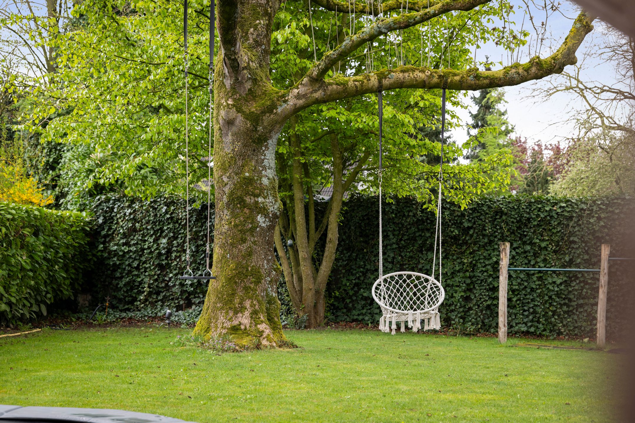 Photo 48 of Kornet van Limburg Stirumstraat 86