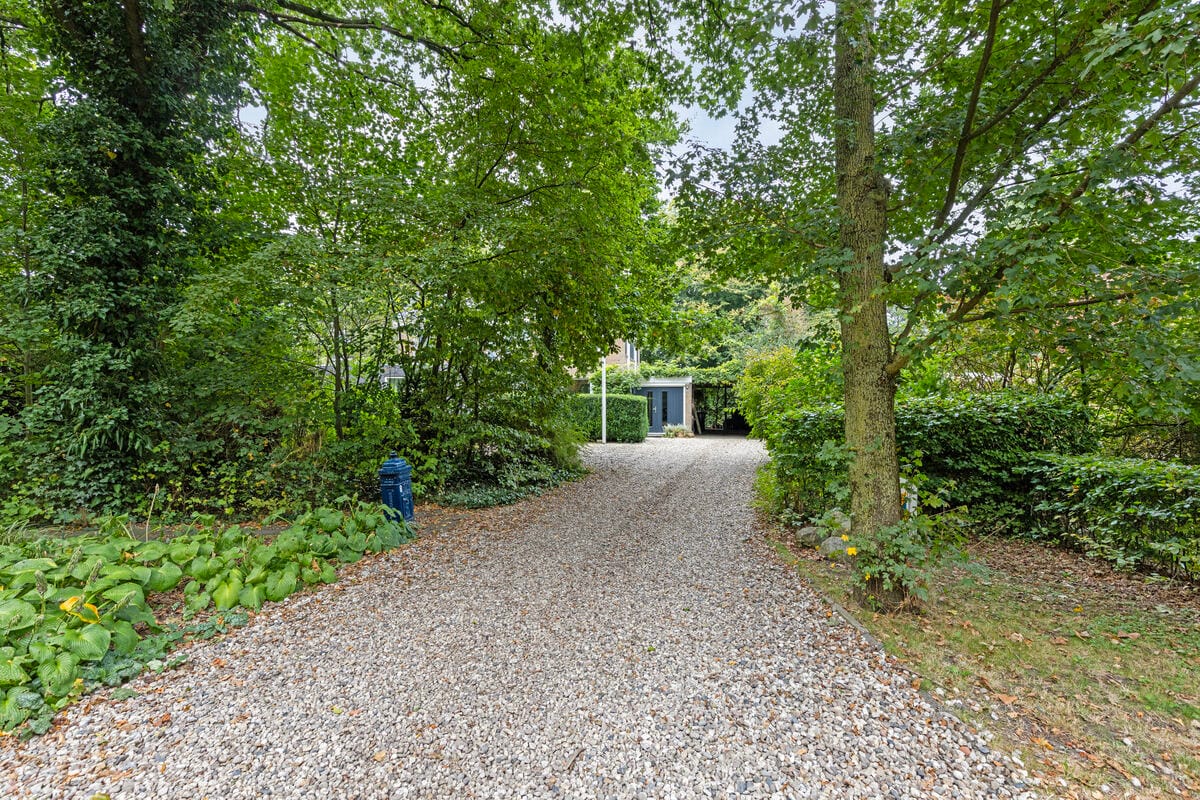 Photo 10 of Familie Bronsweg 8