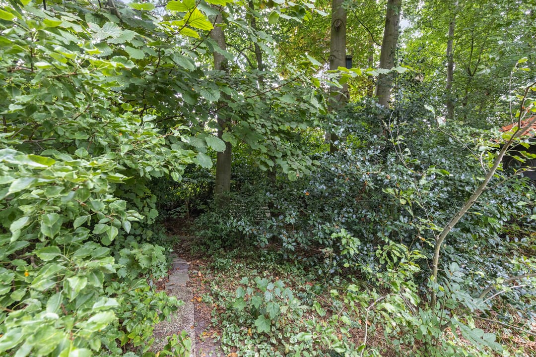 Photo 26 of Familie Bronsweg 8