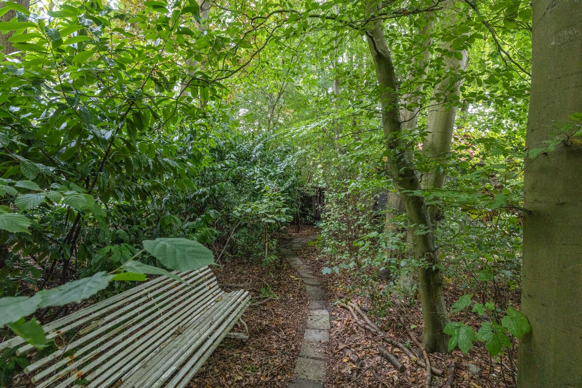 Photo 27 of Familie Bronsweg 8