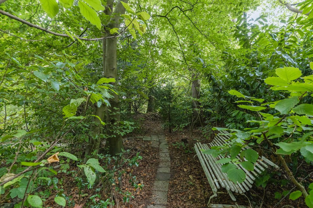 Photo 28 of Familie Bronsweg 8