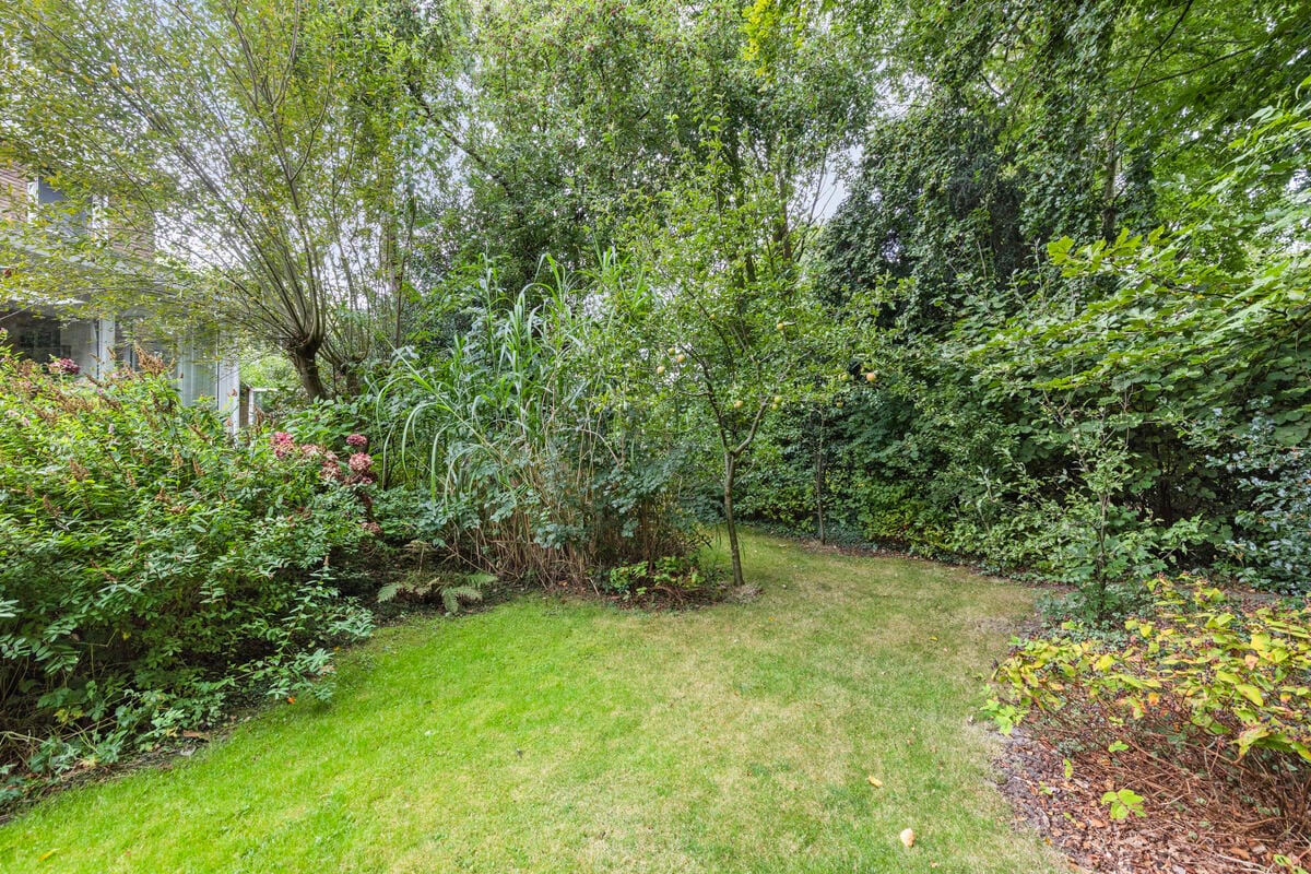 Photo 29 of Familie Bronsweg 8