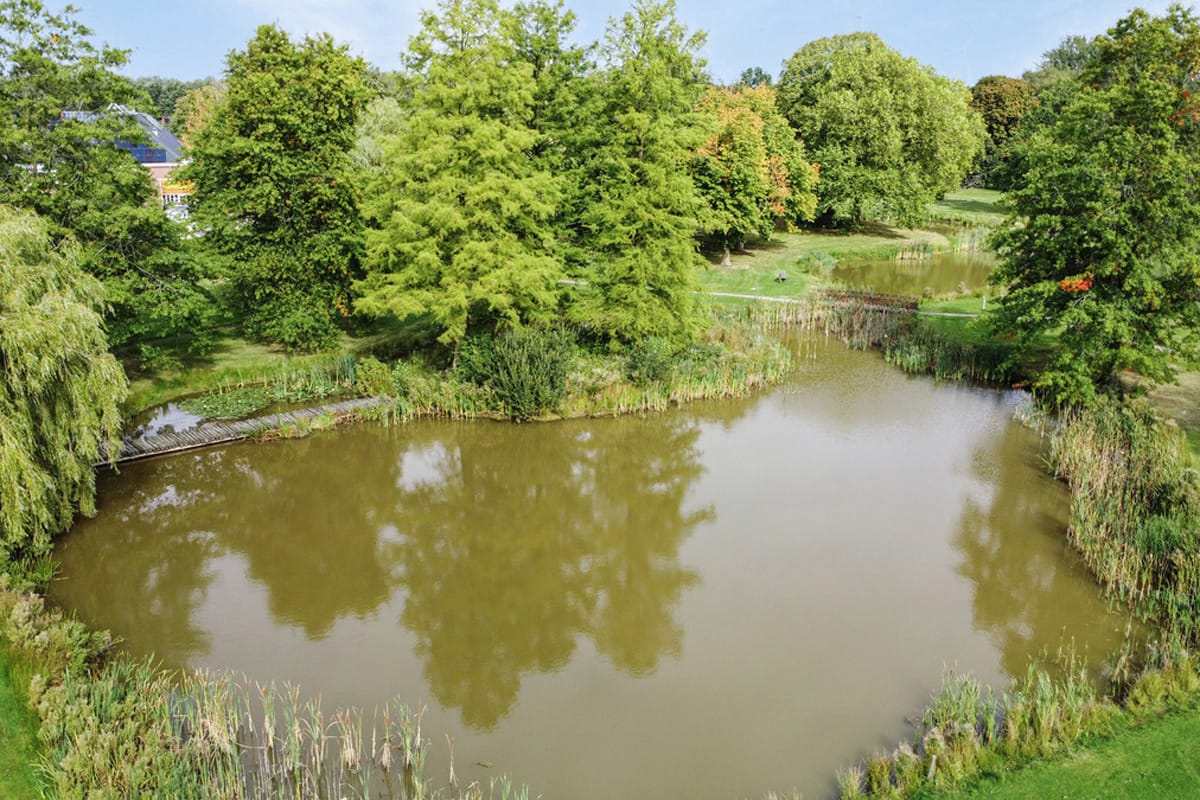 Photo 70 of Familie Bronsweg 8