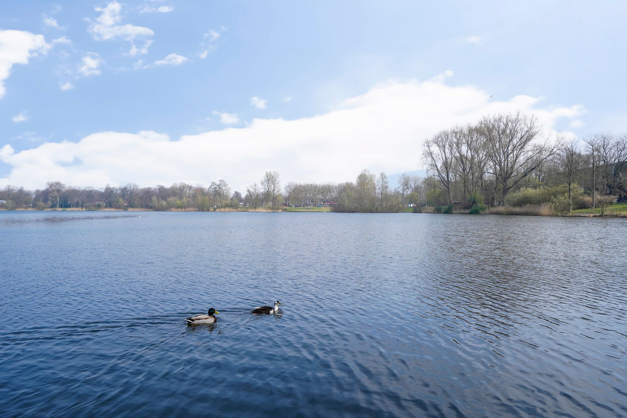 Foto 36 van Westenburgerweg 422