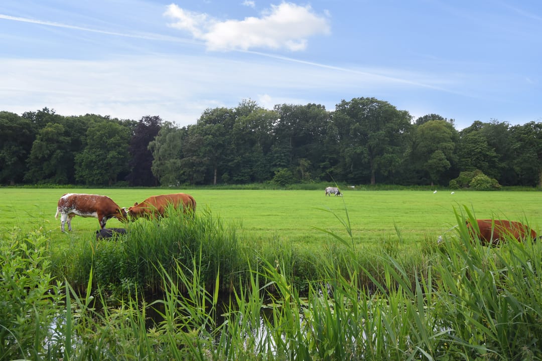 Foto 56 van Hofzichtlaan 14