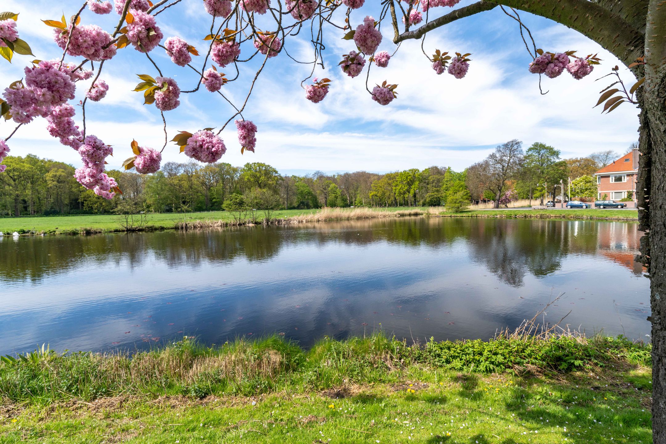 Foto 57 van Hofzichtlaan 14