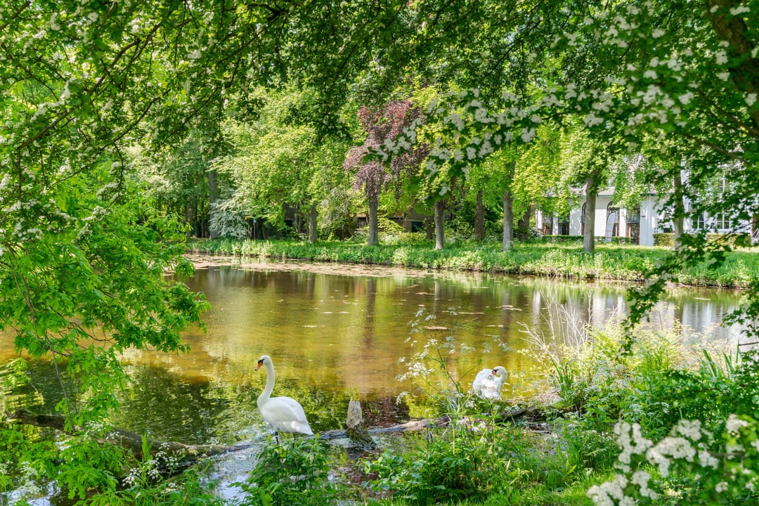 Foto 61 van Hofzichtlaan 14