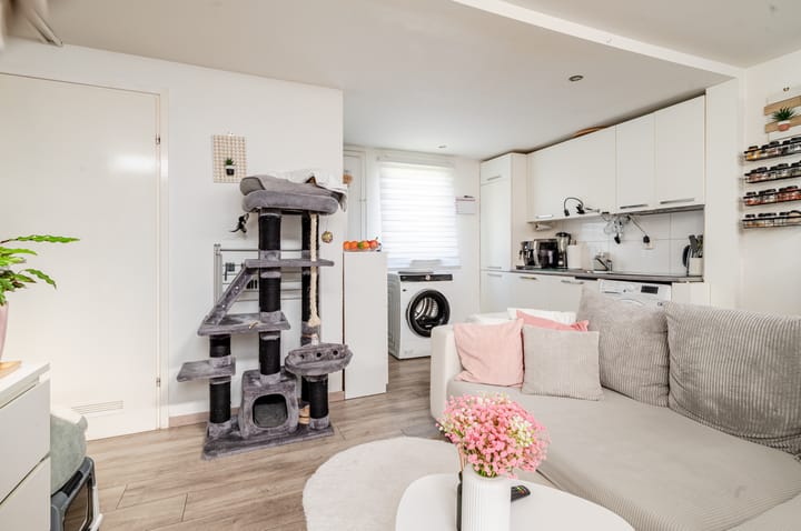 Foto 47 van Lagune 47