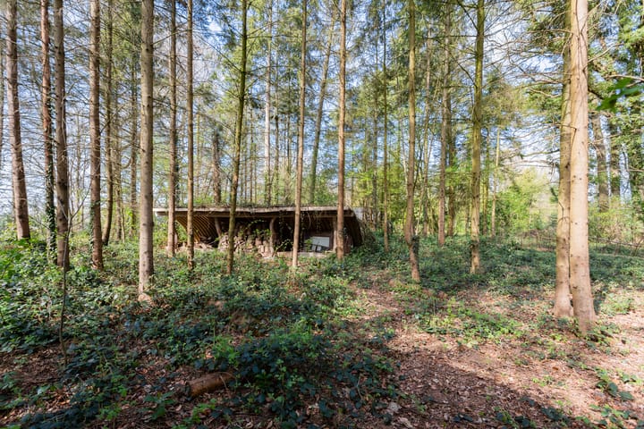 Photo 51 of Vagevuurselaan 7