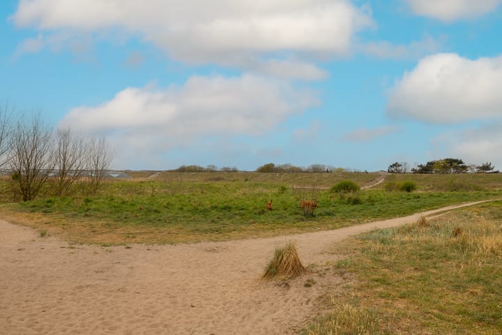 Foto 26 van Elisabeth van Matenessedreef 43