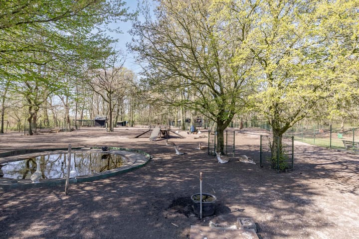 Foto 37 van Burgemeester Woltersstraat 53