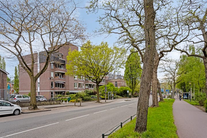 Foto 23 van Kronenburgersingel 307