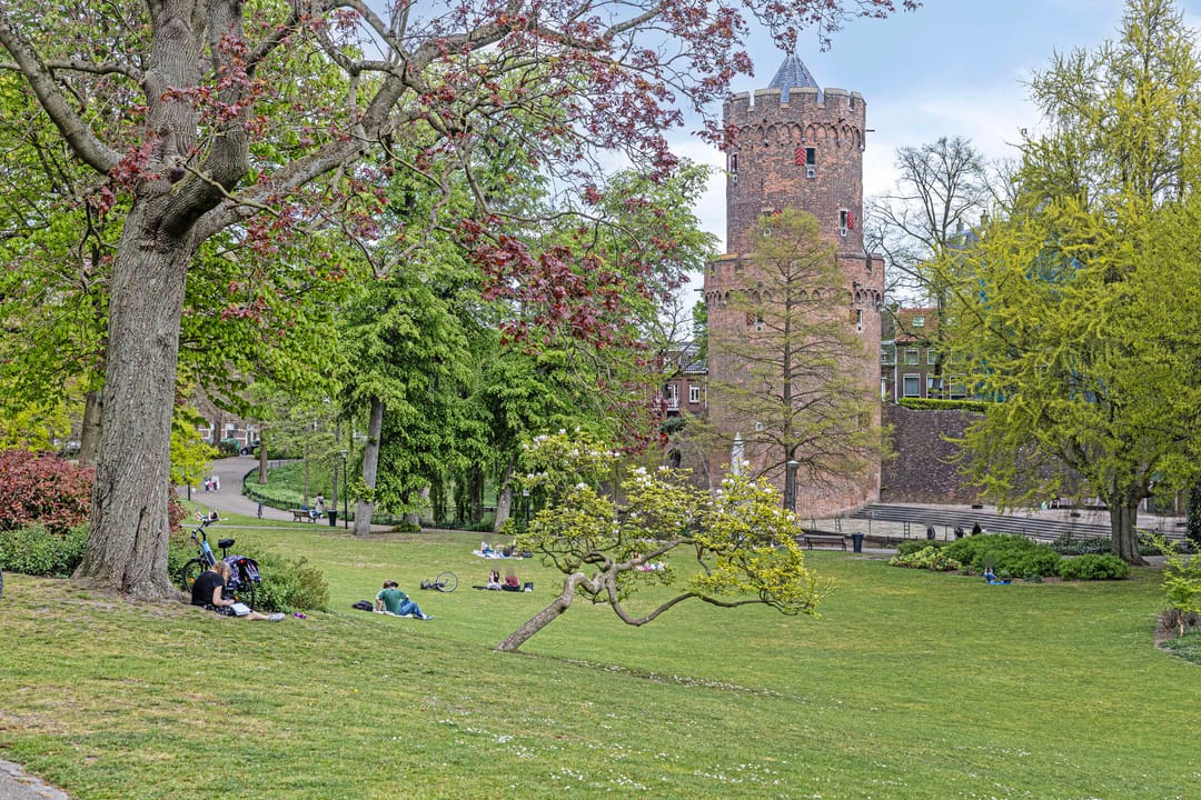 Foto 26 van Kronenburgersingel 307