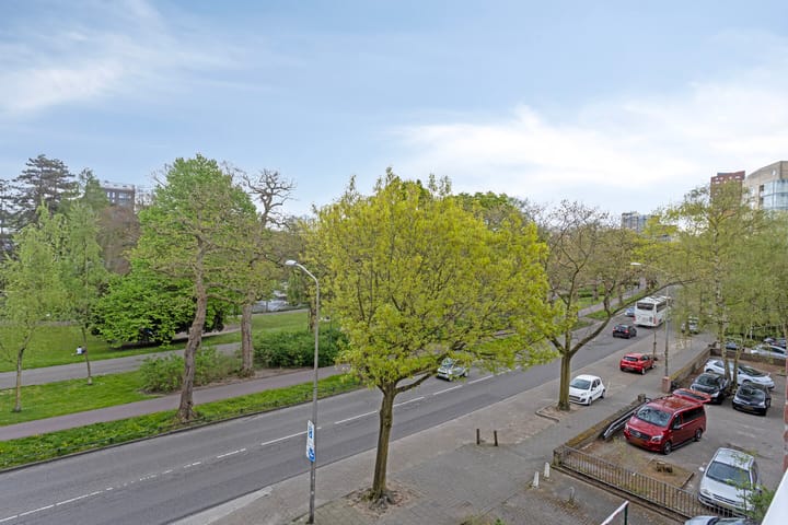 Foto 24 van Kronenburgersingel 307