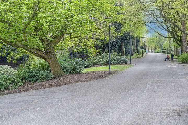 Foto 25 van Kronenburgersingel 307