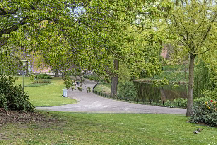 Foto 27 van Kronenburgersingel 307