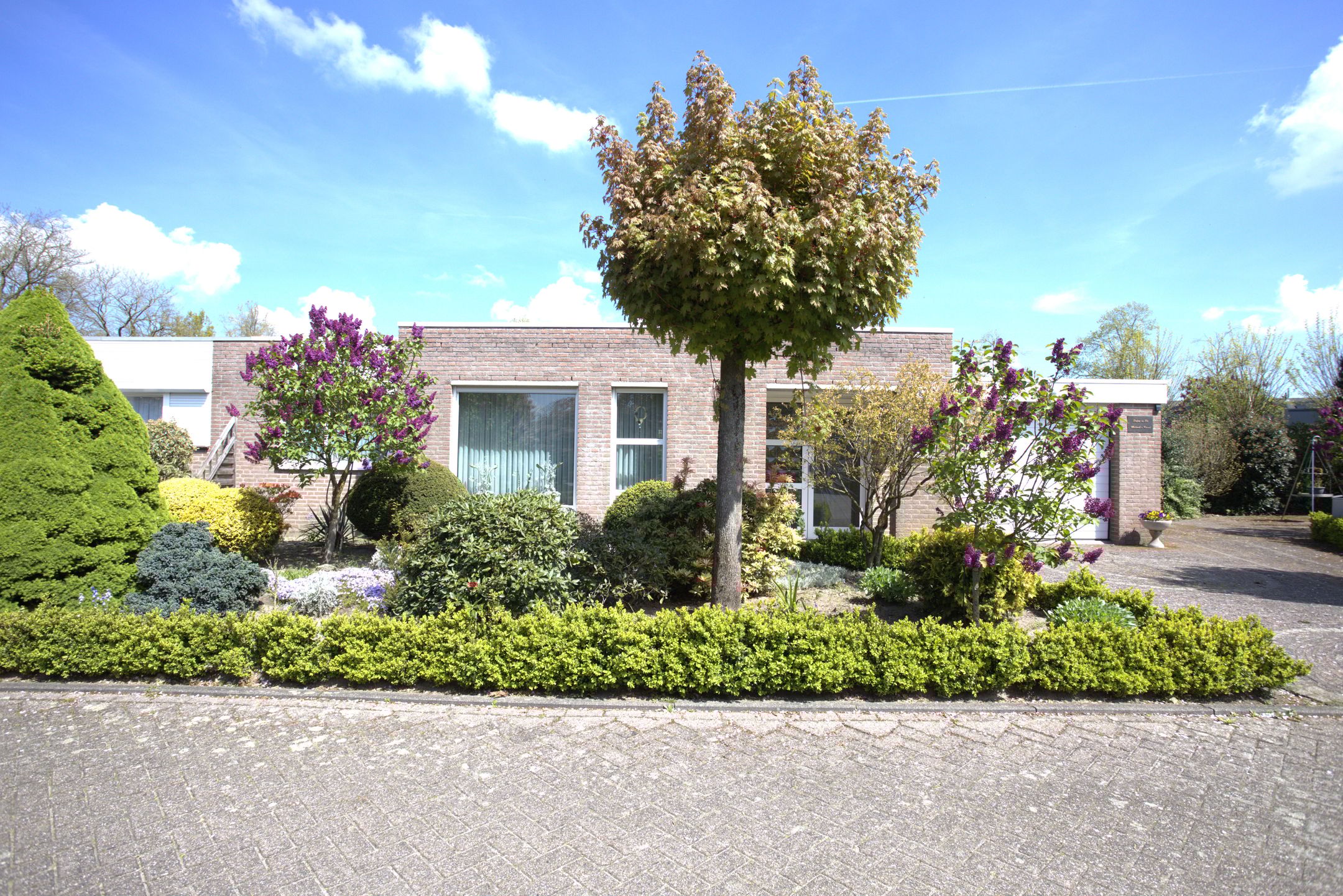 Foto 6 van Dokter Timmerslaan 55