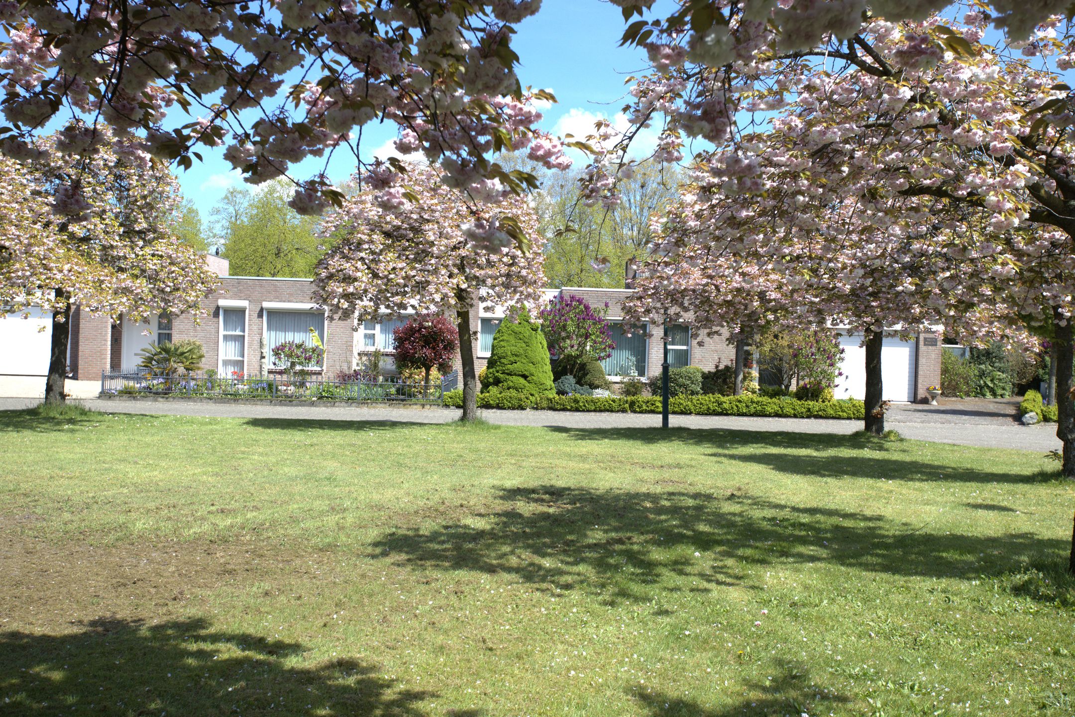 Foto 30 van Dokter Timmerslaan 55