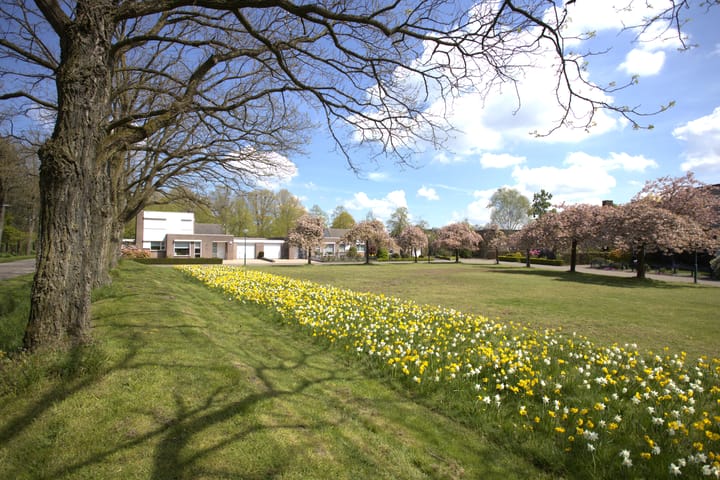 Foto 31 van Dokter Timmerslaan 55