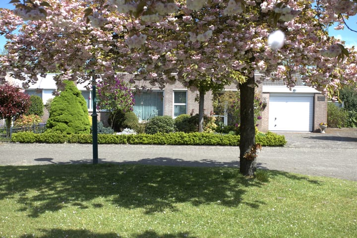 Foto 32 van Dokter Timmerslaan 55