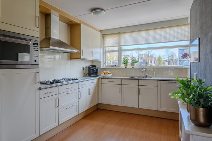 Foto 8 van de Flier 3652