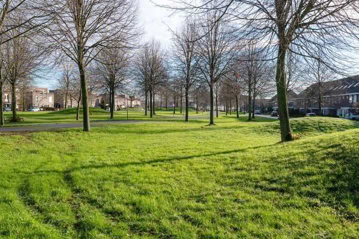 Foto 35 van de Flier 3652