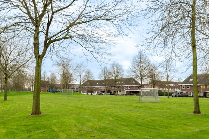 Foto 36 van de Flier 3652